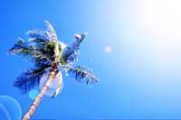 �C���[�W�J�b�g�P�O