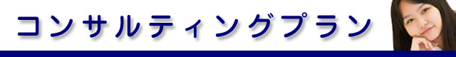 コンサルティングプラン